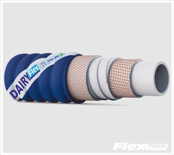 ���� ���� ��� ���� ������ ������