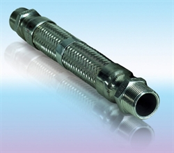 ���� ������� �����